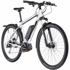 Serious Bear Rock Street Schwarz