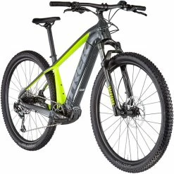 Trek Powerfly 5 Grau/gelb