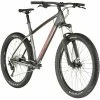 Trek Roscoe 6 Grau