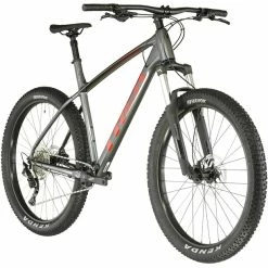 Trek Roscoe 6 Grau